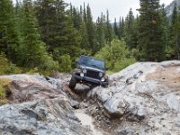HOPL1TE-8349 : Jeep, Wheeler Lake