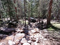 ER-SW--176 : Eagle Rock, Jeep, Saran Wrap