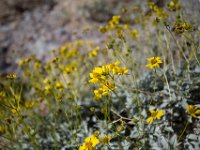 DeathValley-0344 : Death Valley, Echo Canyon, Keith's Photos