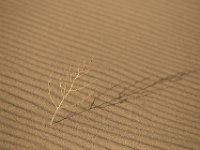 DeathValley-0003 : Death Valley, Eureka Dunes, Keith's Photos