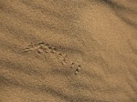 DeathValley-0005 : Death Valley, Eureka Dunes, Keith's Photos