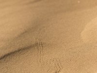 DeathValley-0038 : Death Valley, Eureka Dunes, Keith's Photos