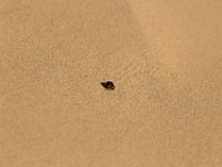 DeathValley-0041 : Death Valley, Eureka Dunes, Keith's Photos