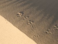 DeathValley-0051 : Death Valley, Eureka Dunes, Keith's Photos