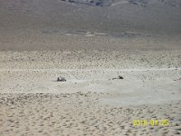 DeathValley-0065-2 : Dad's Photos, Death Valley, Eureka Dunes