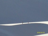 DeathValley-0068 : Dad's Photos, Death Valley, Eureka Dunes