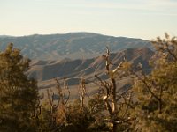 DeathValley-0254 : Death Valley, Keith's Photos, Pinon Mesa