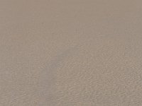 DeathValley-0556 : Death Valley, Keith's Photos, Race Track