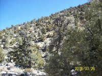 DeathValley-0095 : Dad's Photos, Death Valley, Saline