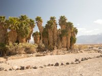 DeathValley-0132 : Death Valley, Keith's Photos, Saline