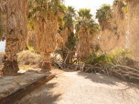 DeathValley-0133 : Death Valley, Keith's Photos, Saline