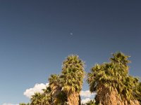 DeathValley-0138 : Death Valley, Keith's Photos, Saline