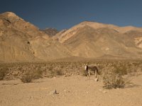 DeathValley-0183 : Death Valley, Keith's Photos, Saline