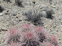 DeathValley-122608 : Death Valley, Keith's Photos, Skidoo