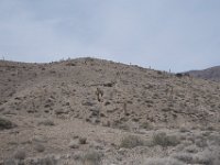 DeathValley-0582 : Death Valley, Keith's Photos, Teakettle Junction