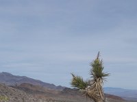 DeathValley-0584 : Death Valley, Keith's Photos, Teakettle Junction