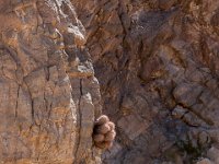 DeathValley-5770 : Death Valley, Keith's Photos, Titus Canyon