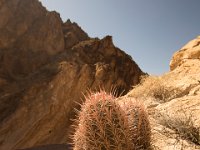 DeathValley-9931 : Death Valley, Keith's Photos, Titus Canyon
