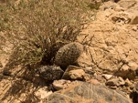 DeathValley-9936 : Death Valley, Keith's Photos, Titus Canyon
