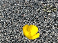 DeathValley-121558 : Death Valley, Keith's Photos, Ubehebe Crater