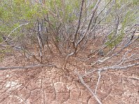 DeathValley-122409 : Death Valley, Keith's Photos, Ubehebe Crater