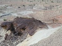 ExpoWest-171522 : Expo West 2018