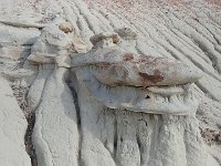 ExpoWest-171904 : Expo West 2018