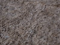 DeathValley-0367 : Death Valley, Devil's Golf Course, Keith's Photos