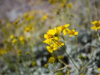 DeathValley-0345 : Death Valley, Echo Canyon, Keith's Photos