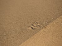 DeathValley-0028 : Death Valley, Eureka Dunes, Keith's Photos