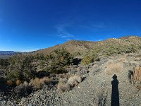 DeathValley-172125 : Death Valley, Keith's Photos, Pinon Mesa