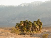 DeathValley-0153 : Death Valley, Keith's Photos, Saline