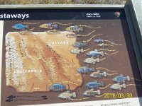 DeathValley-0189 : Dad's Photos, Death Valley, Salt Creek