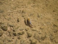 DeathValley-0483 : Death Valley, Keith's Photos, Salt Creek