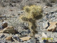 DeathValley-0072 : Dad's Photos, Death Valley, Steele Pass