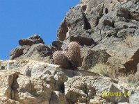 DeathValley-0048 : Dad's Photos, Death Valley, Titus Canyon