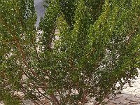 DeathValley-122334 : Death Valley, Keith's Photos, Ubehebe Crater