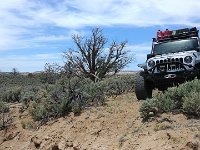 ExpoWest-130448 : Expo West 2018, Jeep