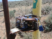 ExpoWest-135019 : Expo West 2018