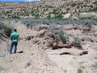 ExpoWest-141108 : Expo West 2018