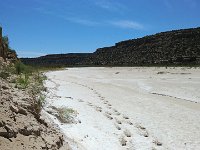 ExpoWest-141214 : Expo West 2018