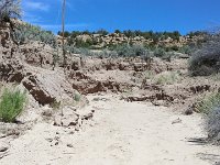 ExpoWest-141248 : Expo West 2018