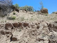 ExpoWest-141302 : Expo West 2018