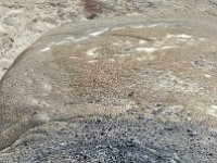 ExpoWest-171359 : Expo West 2018