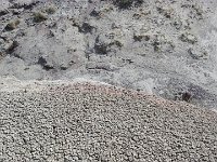 ExpoWest-171430 : Expo West 2018