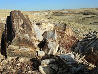 ExpoWest-190948 : Expo West 2018