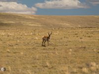 NMSolo-190926-IMG 0095 : New Mexico Solo
