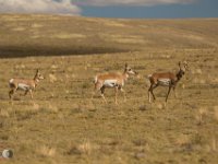 NMSolo-190926-IMG 0104 : New Mexico Solo