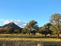 NMsolo-183737 : New Mexico Solo