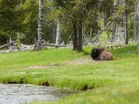 WY-MT-0196 : Overland, WY-MT, Yellowstone